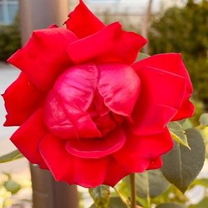 Meet your Posher, Eun hye